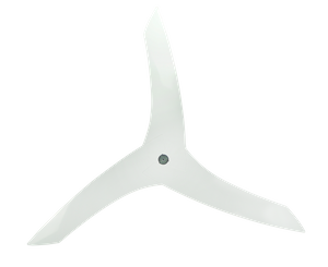 DSC09810.png